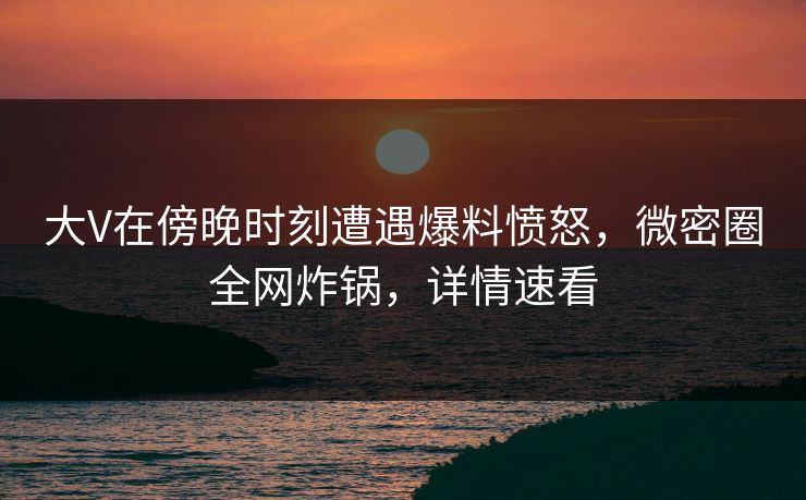 大V在傍晚时刻遭遇爆料愤怒，微密圈全网炸锅，详情速看