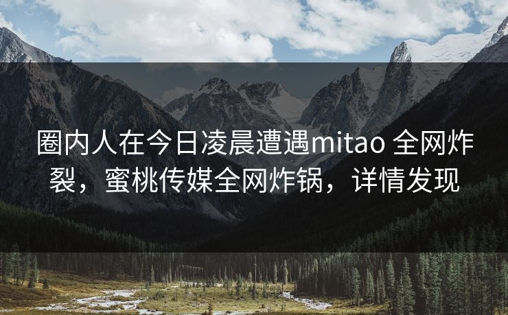 圈内人在今日凌晨遭遇mitao 全网炸裂，蜜桃传媒全网炸锅，详情发现
