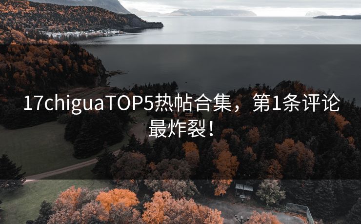 17chiguaTOP5热帖合集，第1条评论最炸裂！