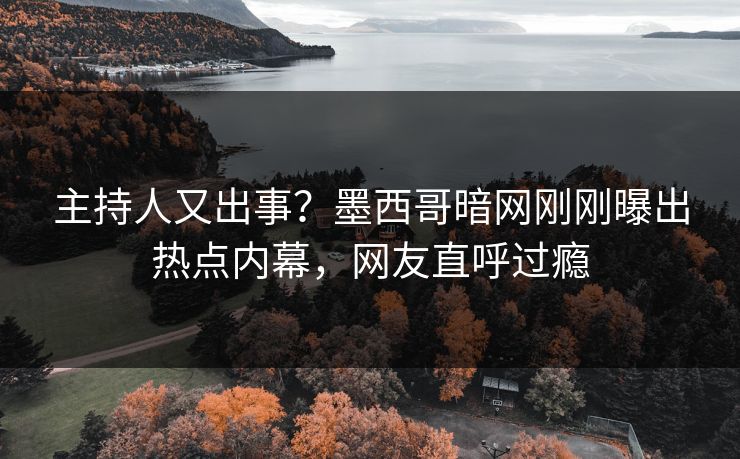 主持人又出事？墨西哥暗网刚刚曝出热点内幕，网友直呼过瘾
