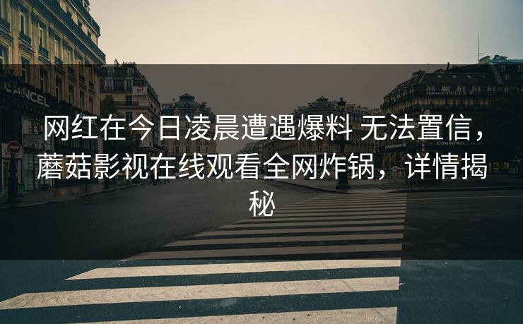 网红在今日凌晨遭遇爆料 无法置信，蘑菇影视在线观看全网炸锅，详情揭秘