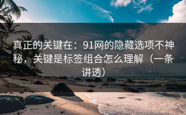 真正的关键在：91网的隐藏选项不神秘，关键是标签组合怎么理解（一条讲透）